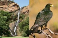 Walter Sisulu Botanical Gardens