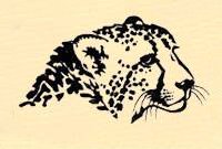 De Wildt Cheetah and Wildlife Centre
