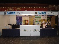 Pyro 2011