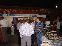 Pyro 2011